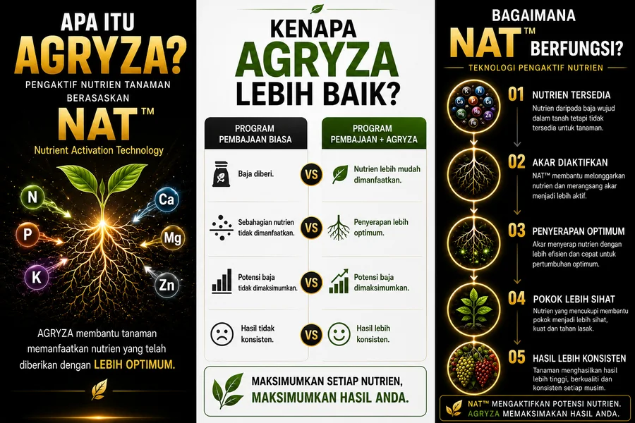 Section 08, 09 dan 10 AGRYZA, kenapa AGRYZA lebih baik dan bagaimana NAT berfungsi